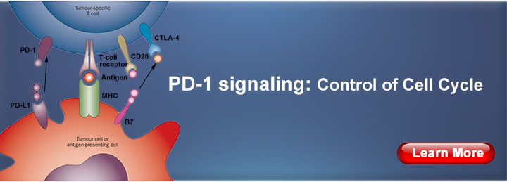 PD-1/PD-L1