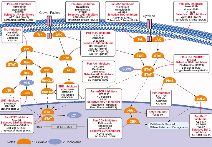 Selleck Inhibitors